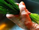 photo of a woman's hand holding a chives bunch for ailments and treatments