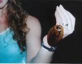 photo of a giant hissing cockroach sitting on a girls hand