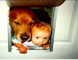animal allergy example dog and baby climbing through dog door