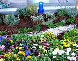 Beautiful edible flower garden alongside and herb garden