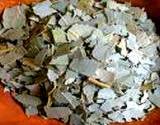 photo of dried leaves for eucalyptus tea