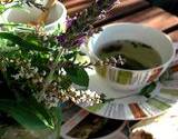 a cup of herbal tea sitting next to a bundle of herbs