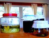 photo of 3 home canned jars of herbal vinegar