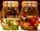 photo of two jars with herbal teas with mints 