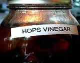 photo of home canning jar filled with herbal vinegar with vinegar and rose hops