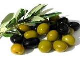 green and black Italian olives