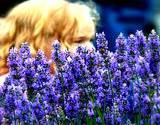 a blonde haired girl peeking through a field of lavender flowers