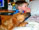 photo of boy praying on kness with big dog beside him giving thanks for natural flea pest control
