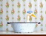 A duck sitting in a wash basin getting dipped in natural flea pest control