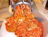 photo of ground meat going through a grinder a likely source of salmonella poisoning