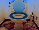 photo of a toilet