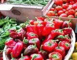 baskets of fresh vegetable, peppers, tomatoes, and greens