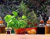 photo of a beautiful house plant on table with oil and vinegar containers