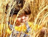 young boy in wheat field