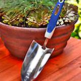 Potted herb with digging tool