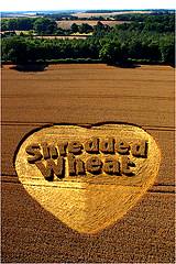 photo of 
a heart carved in a wheat field with Shredded Wheat carved in the center