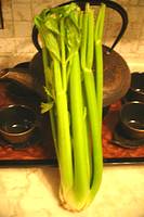 photo of a full stock of fresh celery