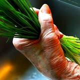 a handful of chives