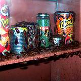 photo of a cupboard with cans of food infested with cockroaches