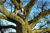 photo of a guy sitting in a tree working on his laptop computer while doing his eLearning assignments