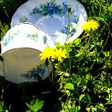 photo of a teacup and saucer sitting in a field of dandelions it must be time for dandelion tea