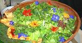 photo of a large bowl salad made from edible flowers and herbs