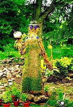 photo of a herbal scarecrow in  the center of an herb garden