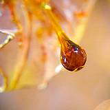 a photo of a drop of honey falling from the honeycomb