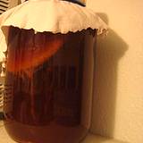 photo of a gallon jar of kombucha tea brewing with culture forming