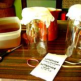 photo of a kombucha tea kit