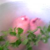 photo of woman's toes sticking out of a lemon balm bath