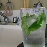 photo of a frosty glass of water with springs of lemon-balm