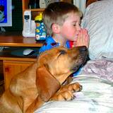 photo of boy praying on kness with big dog beside him giving thanks for natural flea pest control