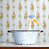 A duck sitting in a wash basin getting dipped in natural flea pest control