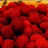 photo of a pile of ripe red raspberries a wonderful addition to red raspberry leaf tea