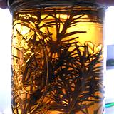photo of herbal vinegar with rosemary and vinegar