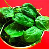 photo of fresh spinach blamed for salmonella outbreak in U.S. in 2006