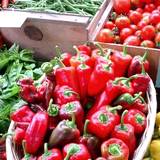 photo of fresh vegetables stand good source to avoid vitamin deficiency