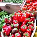 baskets of fresh vegetable, peppers, tomatoes, and greens