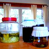 a photo of home canned jars with vinegar and pickles vegetables