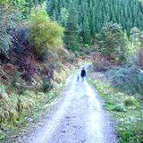 photo of adult and toddler walking down a path walking can relieve flatulence