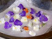 photo of a plate of edible candied pansies in a variety of colors