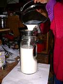 photo of pouring goat milk into a milk bottle