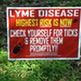 photo of a warning sign for ticks and Lyme disease